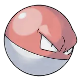 pokemon_id_100 찌리리공