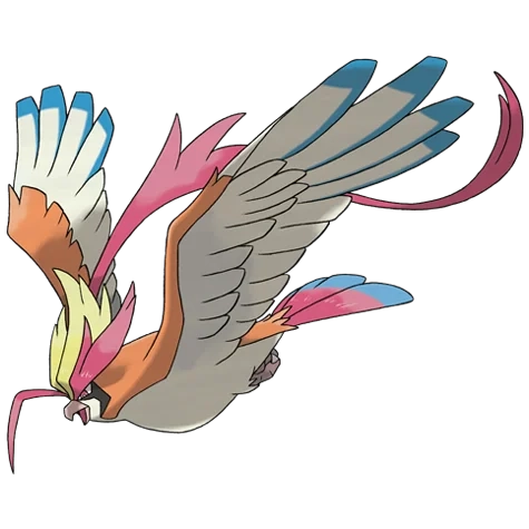 노말/비행 타입 포켓몬 메가피죤투의 이미지