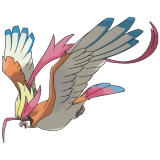 pokemon_id_18 피죤투 메가진화