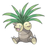 pokemon_id_103 나시 