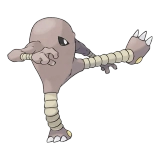 pokemon_id_106 시라소몬 