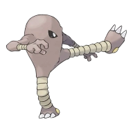 포켓몬 배루키 연관 포켓몬 106