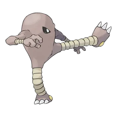 격투 타입 포켓몬 시라소몬의 이미지