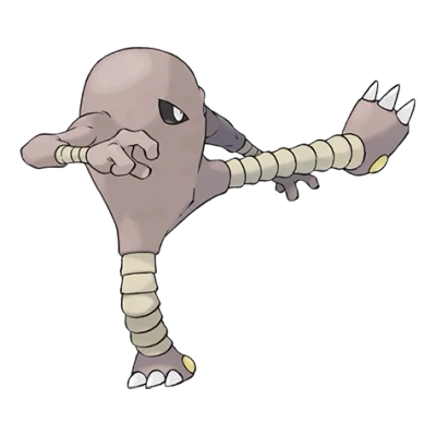 격투 타입 포켓몬 시라소몬의 이미지