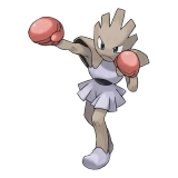 pokemon_id_107 홍수몬 