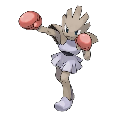 격투 타입 포켓몬 홍수몬의 이미지