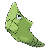 pokemon_id_11