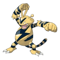 포켓몬 에레키블 연관 포켓몬 125