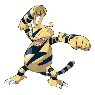 전기 타입 포켓몬 에레브의 이미지