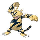 pokemon_id_125 에레브 