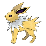 pokemon_id_135 쥬피썬더 