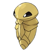 포켓몬 독침붕 연관 포켓몬 14