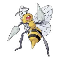 포켓몬 딱충이 연관 포켓몬 15