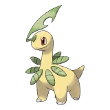 pokemon_id_153 베이리프 