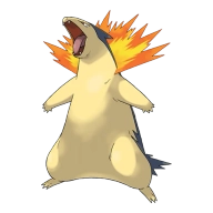 포켓몬 브케인 연관 포켓몬 157