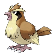 포켓몬 피죤투 연관 포켓몬 16