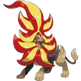 pokemon_id_668 화염레오 메가진화