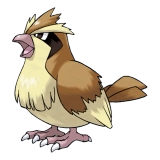 pokemon_id_16 구구 