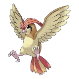 pokemon_id_17 피죤 