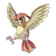 포켓몬 구구 연관 포켓몬 17