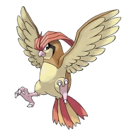 포켓몬 피죤투 연관 포켓몬 17