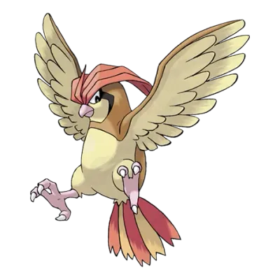 노말/비행 타입 포켓몬 피죤의 이미지