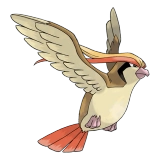 pokemon_id_18 피죤투 