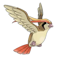 포켓몬 피죤 연관 포켓몬 18