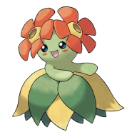 포켓몬 뚜벅쵸 연관 포켓몬 182