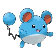 포켓몬 루리리 연관 포켓몬 183