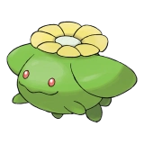 pokemon_id_188 두코 