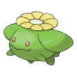 두코