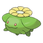 두코