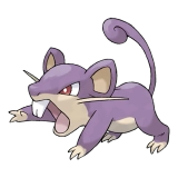 pokemon_id_19 꼬렛 