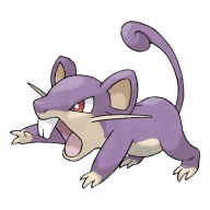 포켓몬 레트라 연관 포켓몬 19