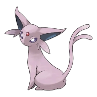 포켓몬 이브이 연관 포켓몬 196