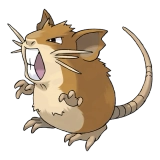 pokemon_id_20 레트라 