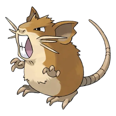 노말 타입 포켓몬 레트라의 이미지