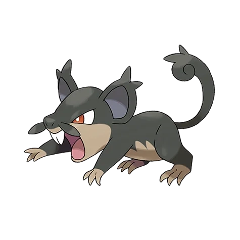 악/노말 타입 포켓몬 꼬렛 리전폼의 이미지