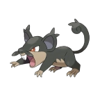 꼬렛 알로라의 모습 