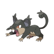 꼬렛 알로라의 모습