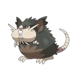 pokemon_id_20 레트라 알로라 폼