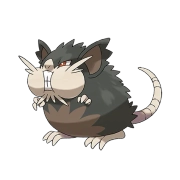 레트라 알로라의 모습