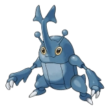 pokemon_id_214 헤라크로스 