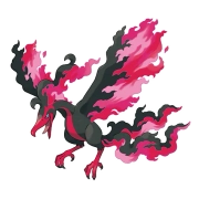 파이어 가라르의 모습