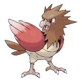 pokemon_id_21