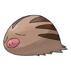 꾸꾸리