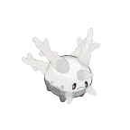 코산호 가라르의 모습