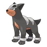 pokemon_id_228 델빌 