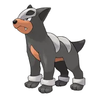 포켓몬 헬가 연관 포켓몬 228